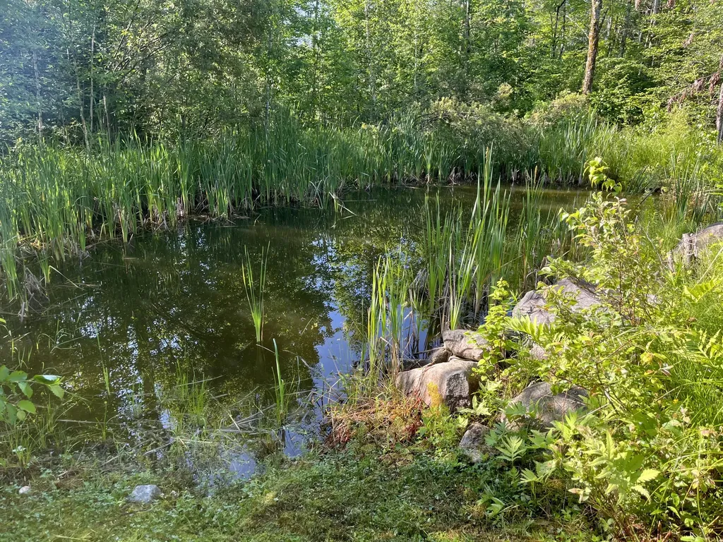 271 Bigelow Road Saint Albans ME 04971