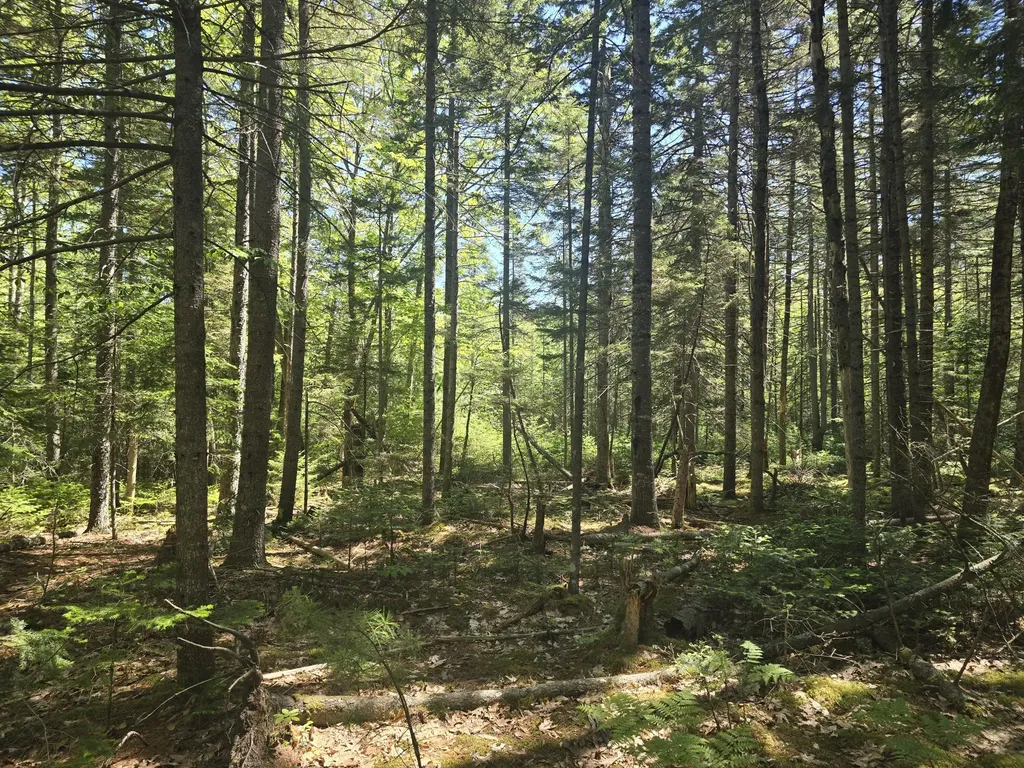 0 Boothbay Road Edgecomb ME 04556
