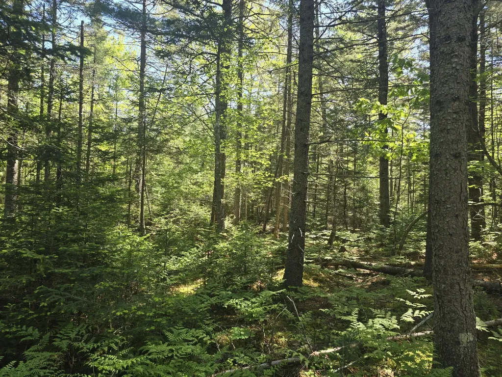 0 Boothbay Road Edgecomb ME 04556