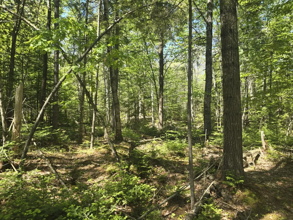 0 Boothbay Road Edgecomb ME 04556