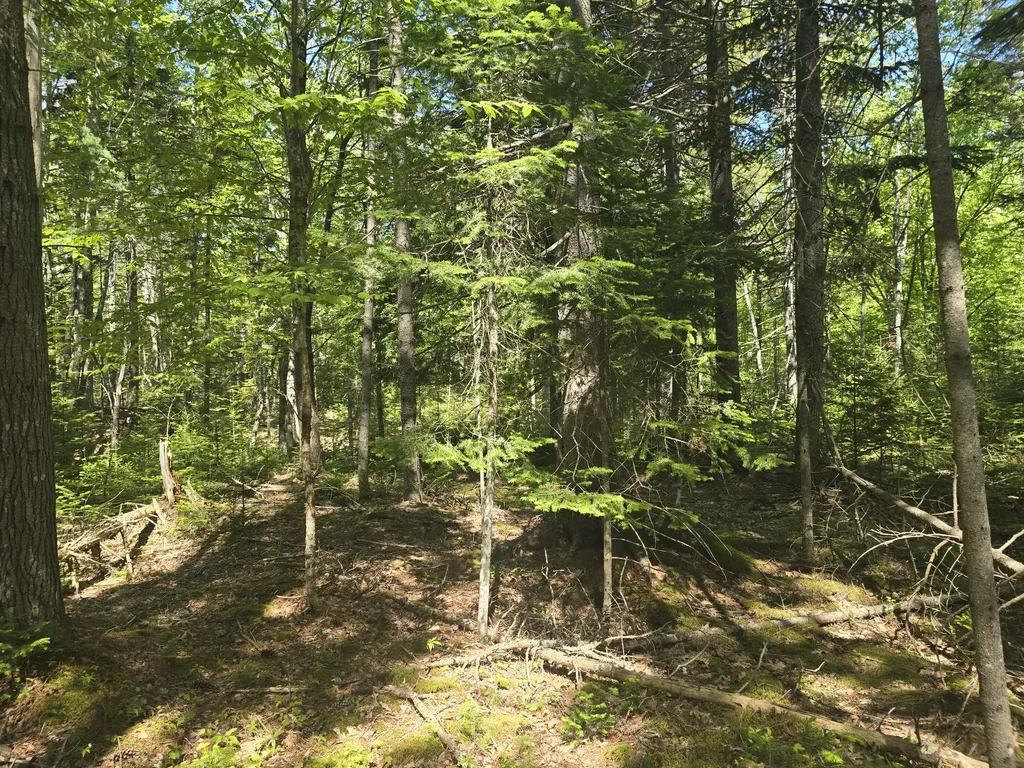 0 Boothbay Road Edgecomb ME 04556