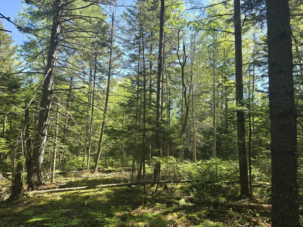 0 Boothbay Road Edgecomb ME 04556