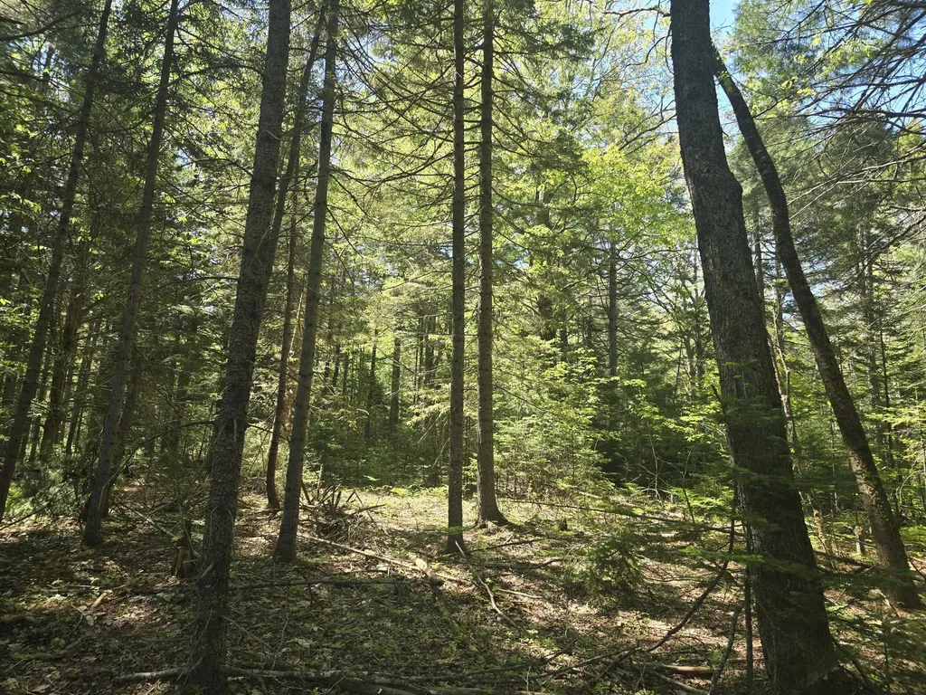 0 Boothbay Road Edgecomb ME 04556