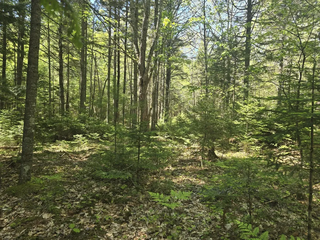 0 Boothbay Road Edgecomb ME 04556