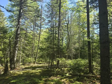 0 Boothbay Road Edgecomb ME 04556