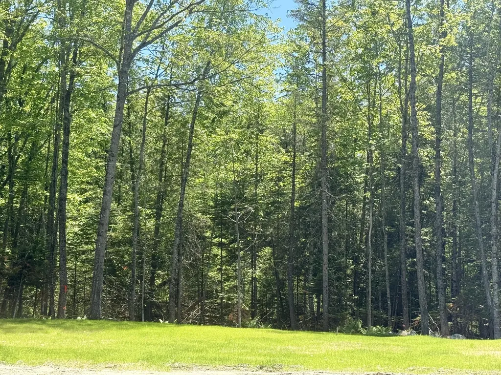 60 Alton Tannery Road Hudson ME 04449