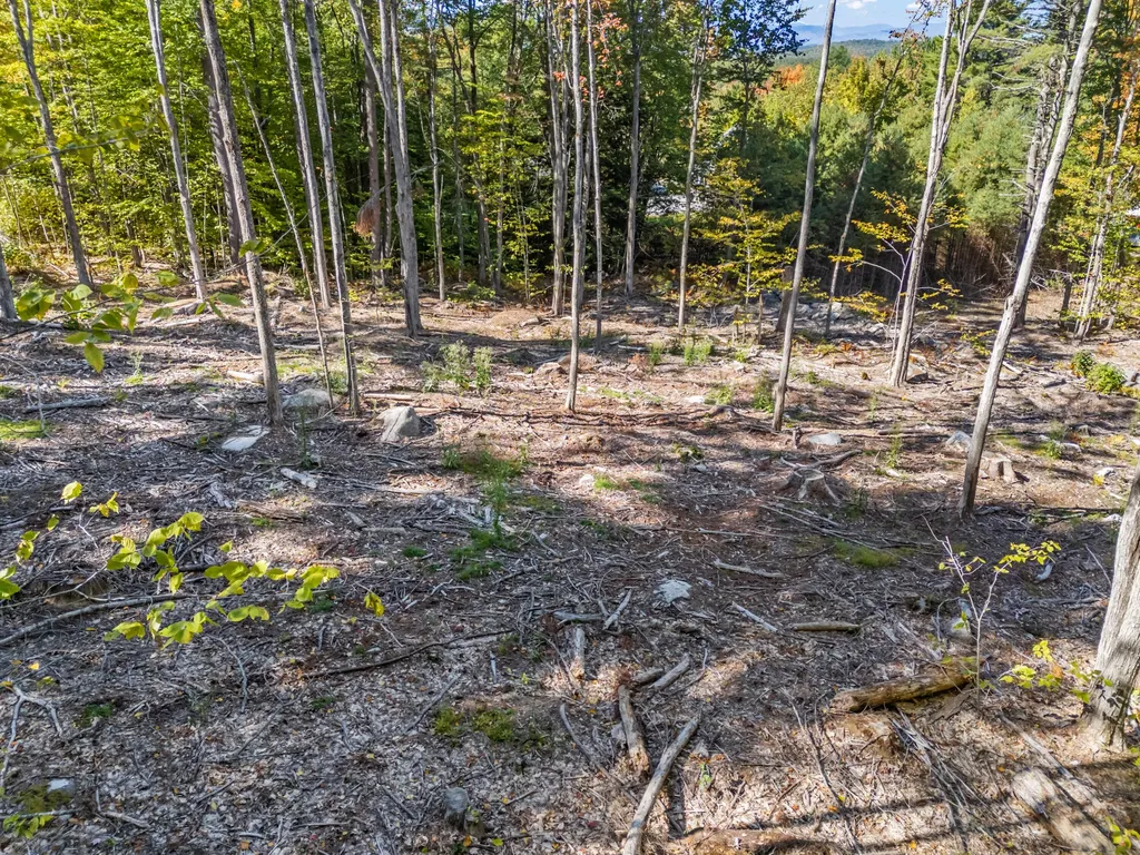 Lot 2 Olde Colony Lane Bridgton ME 04009