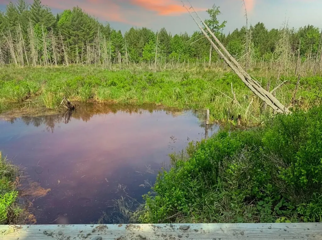 0000 Baker Brook Road Bradley ME 04411