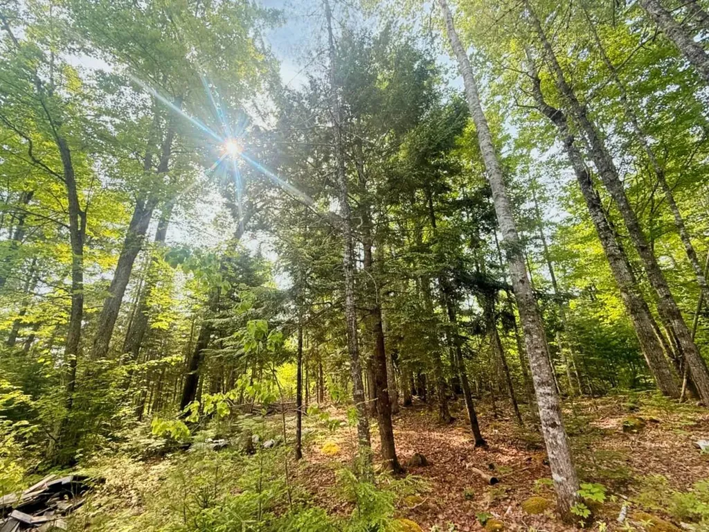 0000 Baker Brook Road Bradley ME 04411