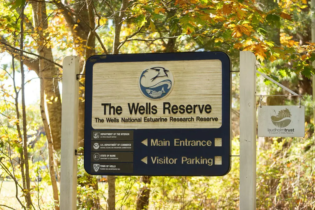 351 Webhannet Drive Wells ME 04090