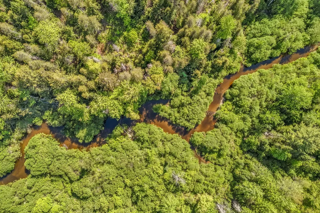 49 Tannery Loop Road Amherst ME 04605