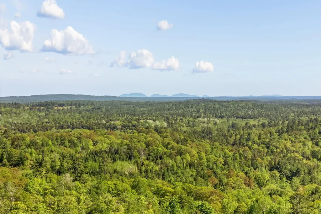 49 Tannery Loop Road Amherst ME 04605