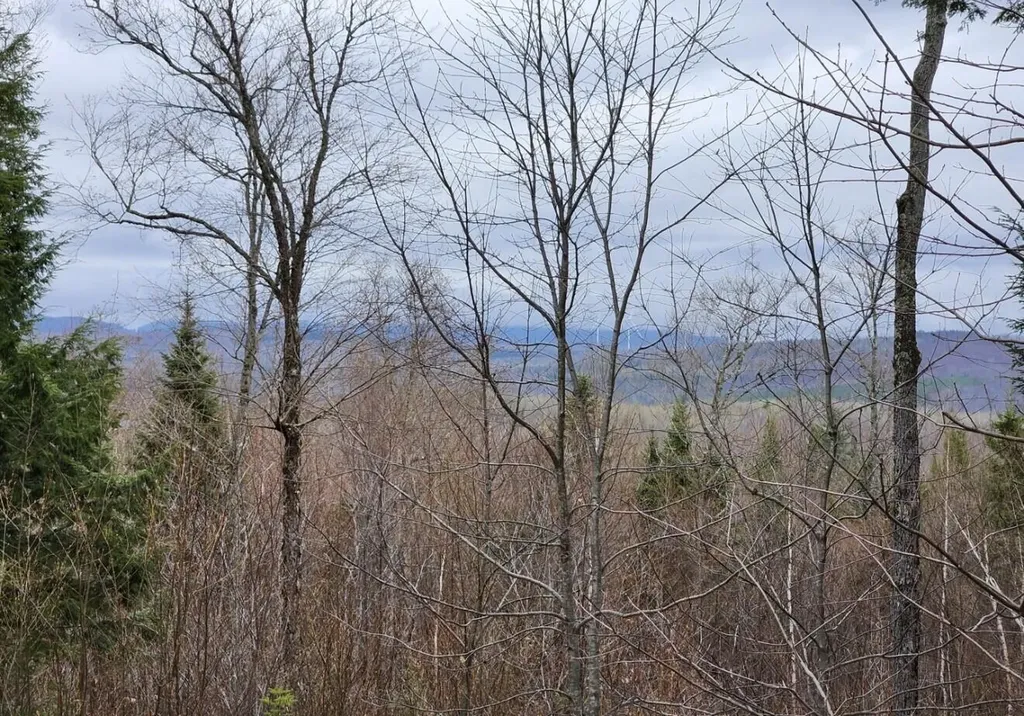 00 N Stewart Road Road NE Moscow ME 04920
