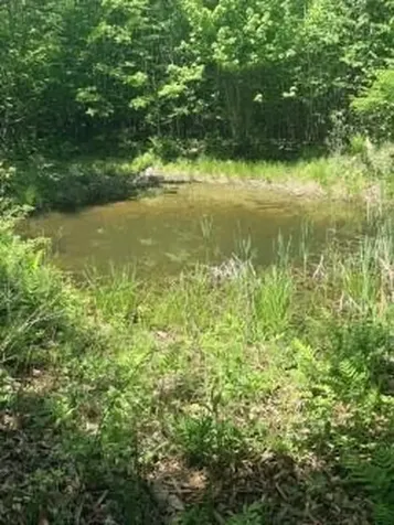 00 N Stewart Road Road NE Moscow ME 04920
