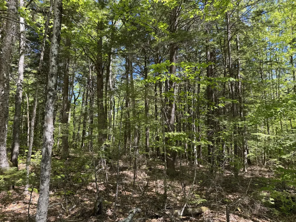 Lot 16 Commons Drive Bridgton ME 04009