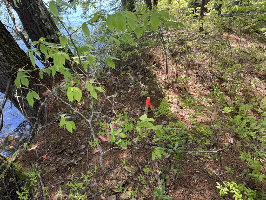 Lot 16 Commons Drive Bridgton ME 04009