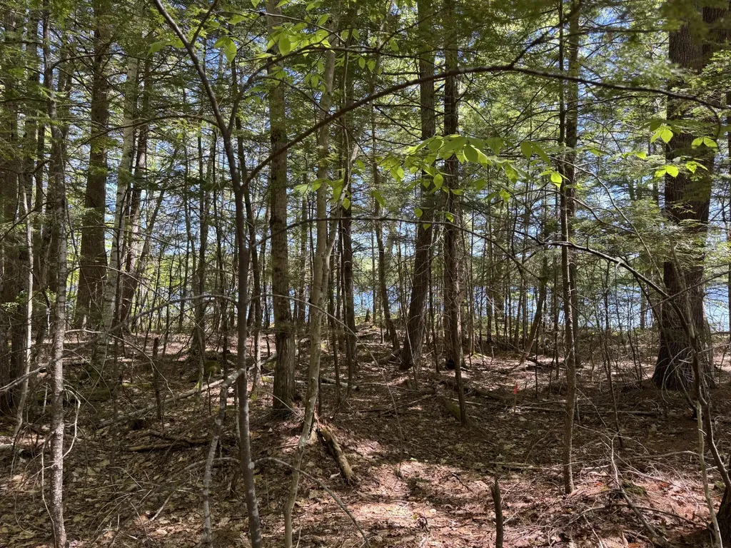 Lot 16 Commons Drive Bridgton ME 04009