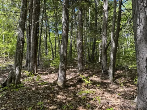 Lot 16 Commons Drive Bridgton ME 04009