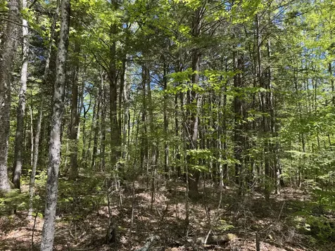 Lot 16 Commons Drive Bridgton ME 04009