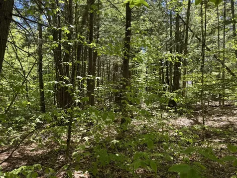 Lot 16 Commons Drive Bridgton ME 04009