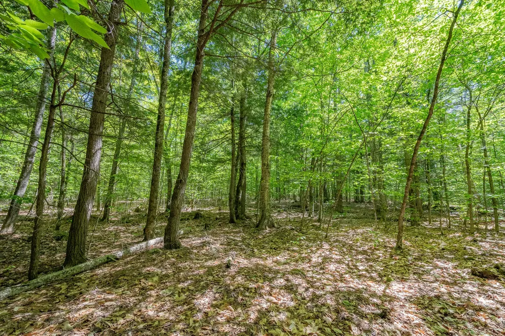16 Beach View Road Dover-foxcroft ME 04426