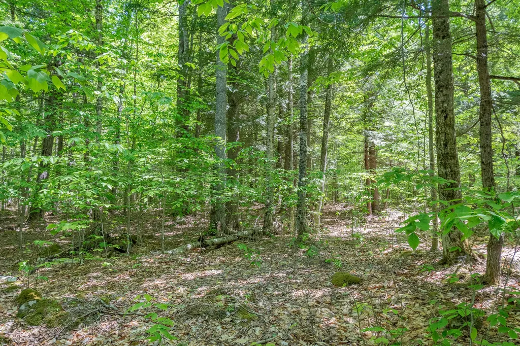 16 Beach View Road Dover-foxcroft ME 04426