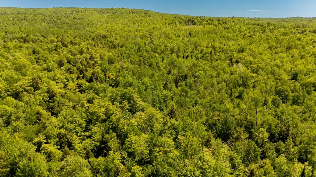 16 Beach View Road Dover-foxcroft ME 04426