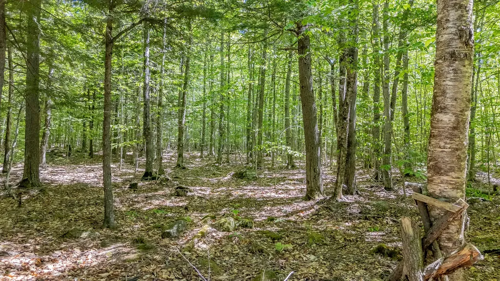 16 Beach View Road Dover-foxcroft ME 04426