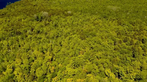 16 Beach View Road Dover-foxcroft ME 04426