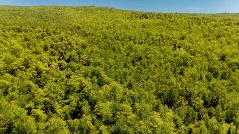 16 Beach View Road Dover-foxcroft ME 04426