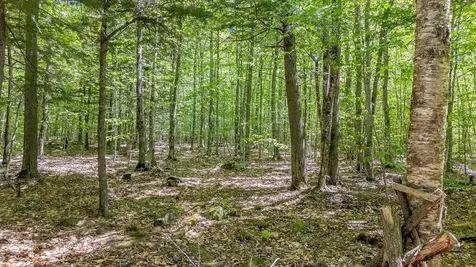 16 Beach View Road Dover-foxcroft ME 04426