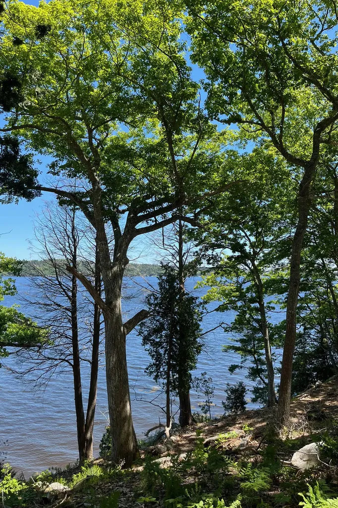 LOT#2 Kennebec Shores S Phippsburg ME 04562