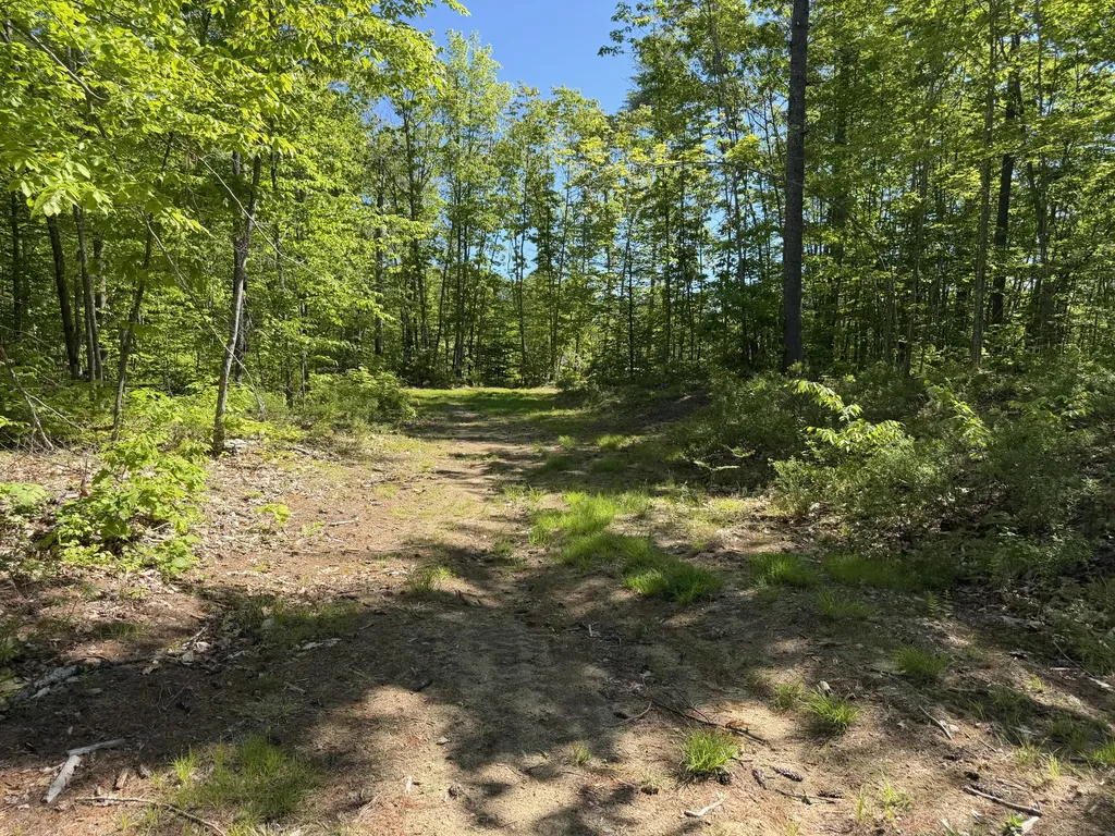 00 Hogfat Hill Road Sebago ME 04029