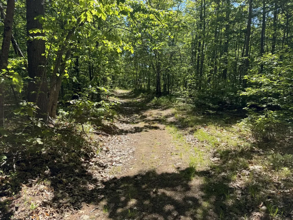00 Hogfat Hill Road Sebago ME 04029