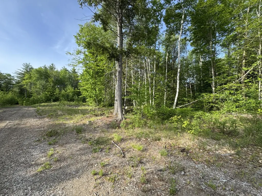 Lot 3 Albion Road Unity ME 04988