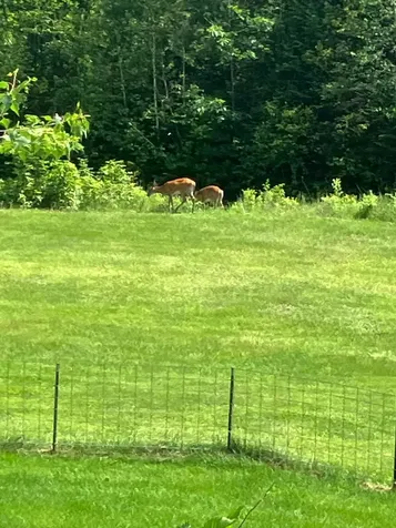 662 Temple Road Farmington ME 04938
