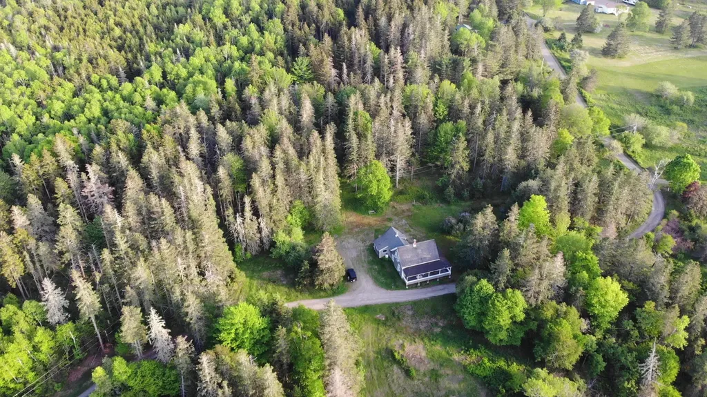 45 Kendall Head Road Eastport ME 04631