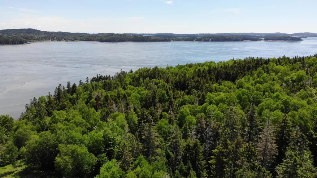 45 Kendall Head Road Eastport ME 04631