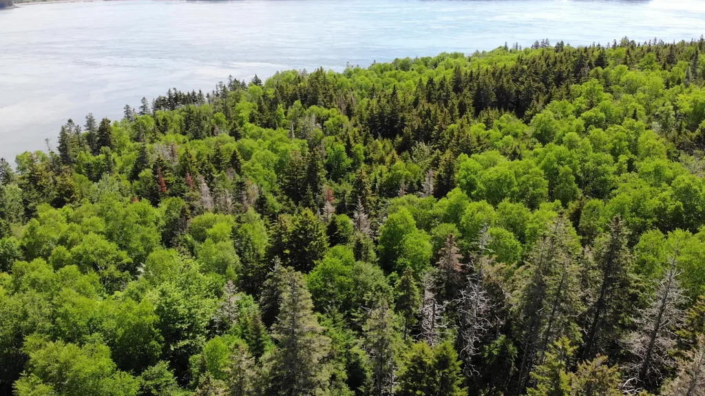 45 Kendall Head Road Eastport ME 04631