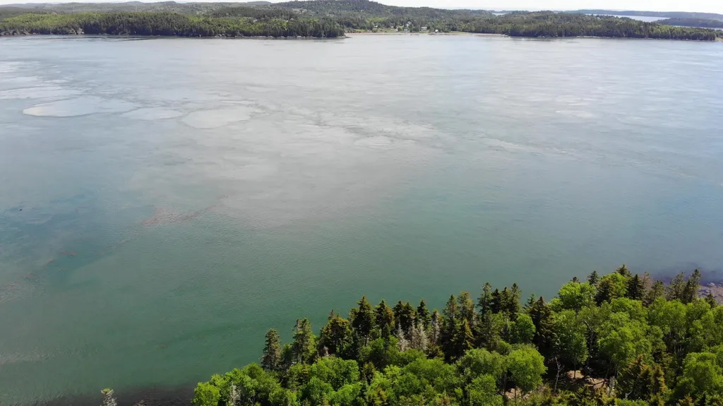 45 Kendall Head Road Eastport ME 04631