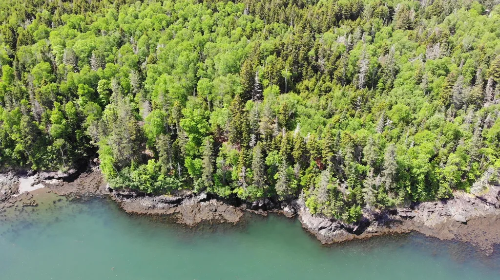 45 Kendall Head Road Eastport ME 04631