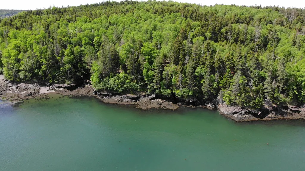 45 Kendall Head Road Eastport ME 04631