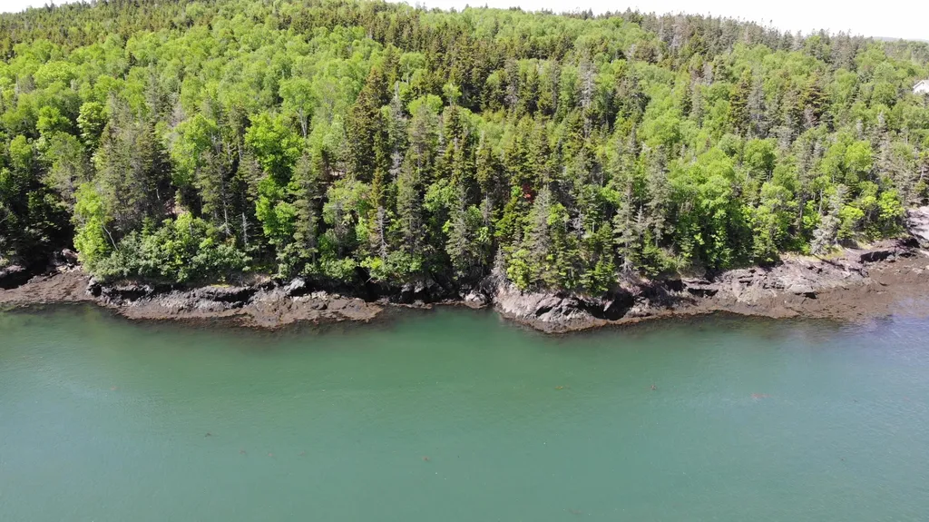 45 Kendall Head Road Eastport ME 04631