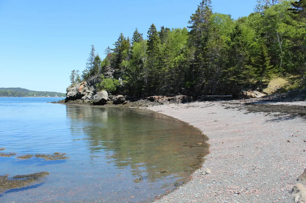 45 Kendall Head Road Eastport ME 04631