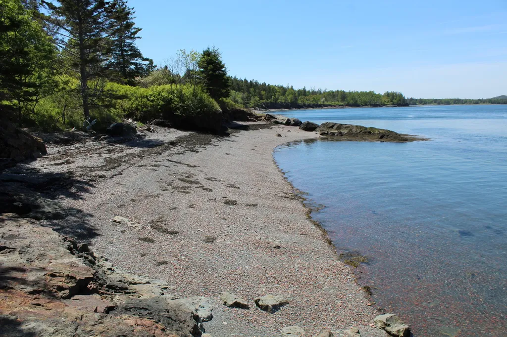 45 Kendall Head Road Eastport ME 04631