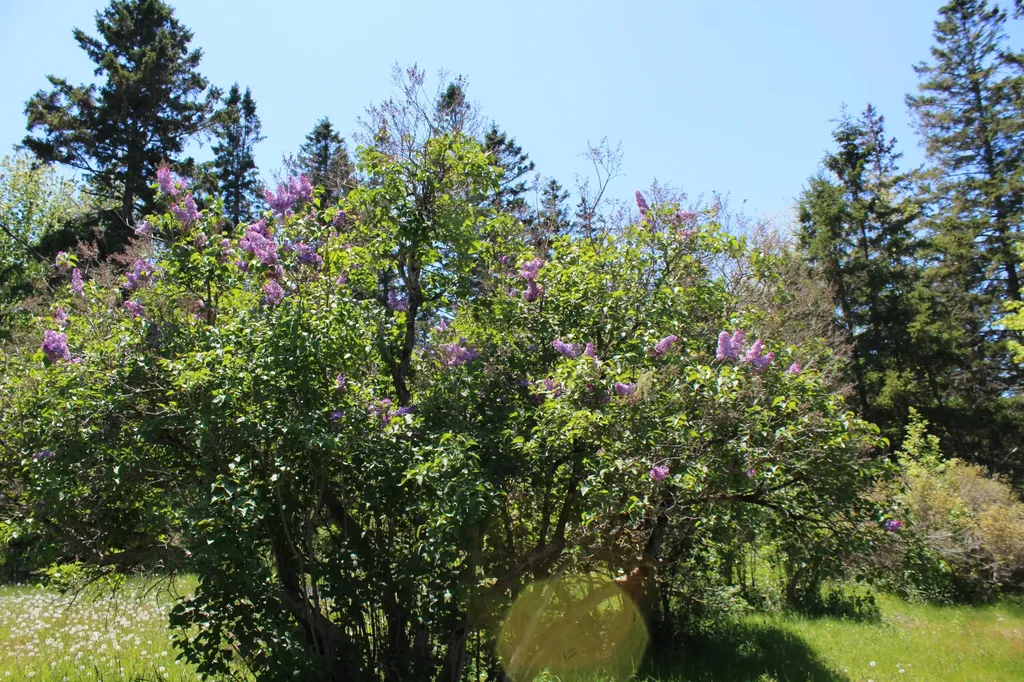 45 Kendall Head Road Eastport ME 04631