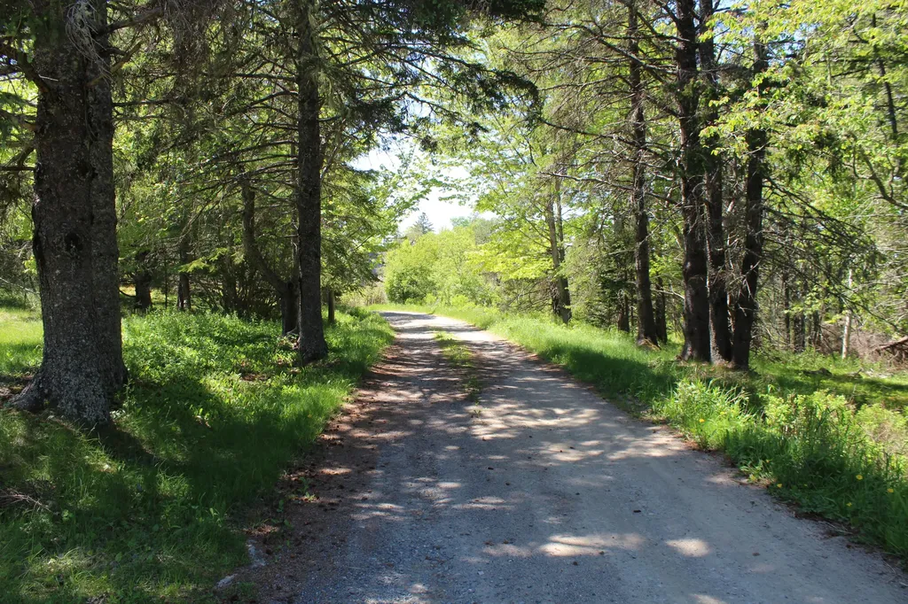 45 Kendall Head Road Eastport ME 04631