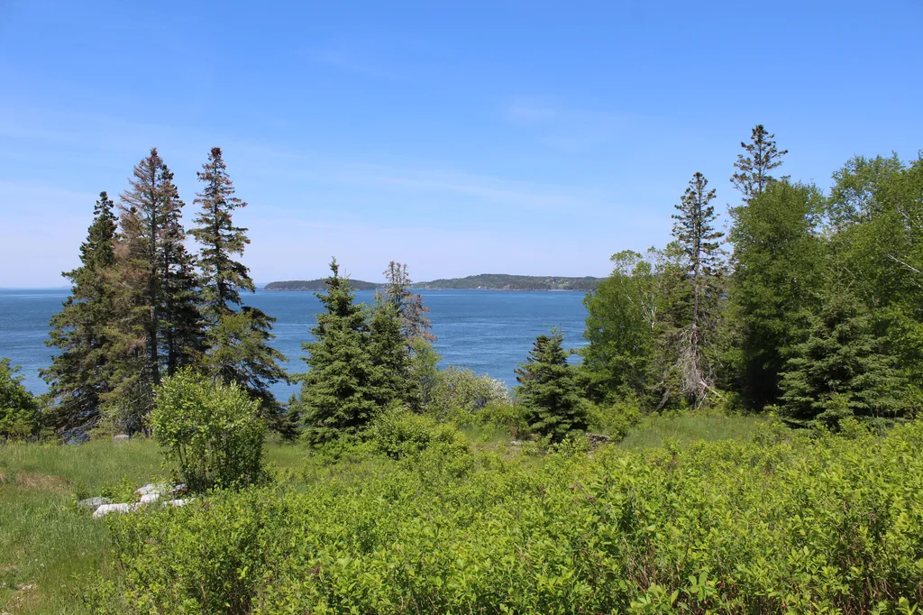 45 Kendall Head Road Eastport ME 04631