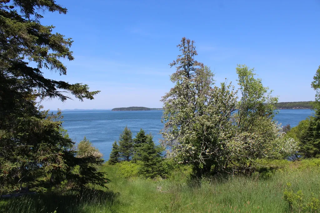 45 Kendall Head Road Eastport ME 04631
