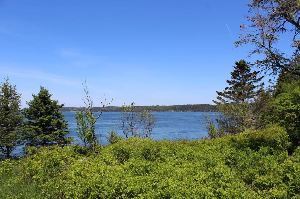 45 Kendall Head Road Eastport ME 04631